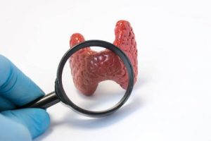 tireoide