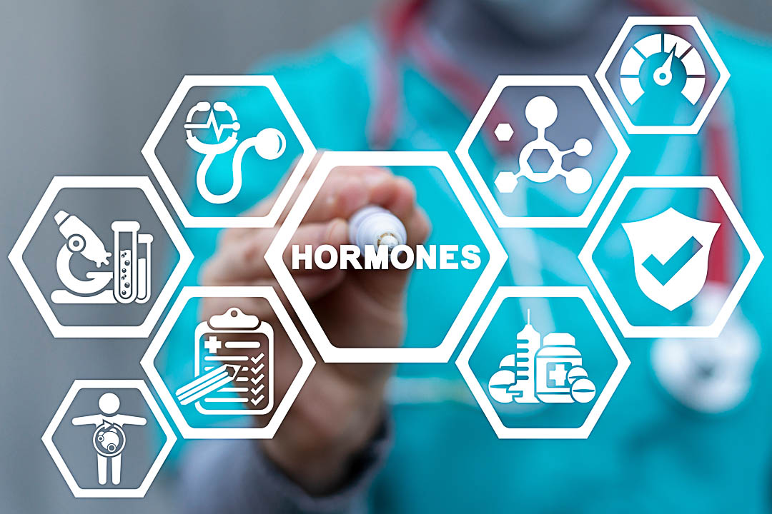 Medical concept of hormones. Hormonal therapy. Human health - ho